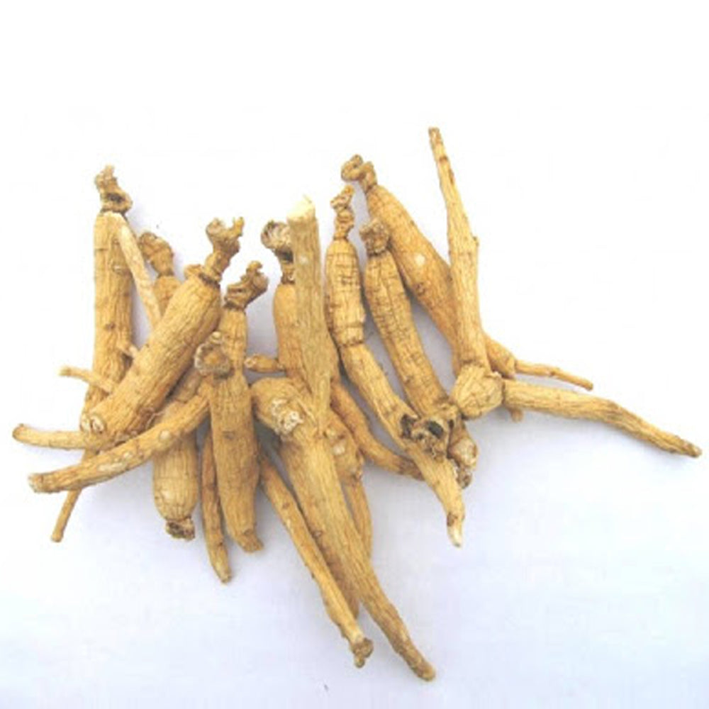 How can Ginseng help aging skin?  White Lotus 